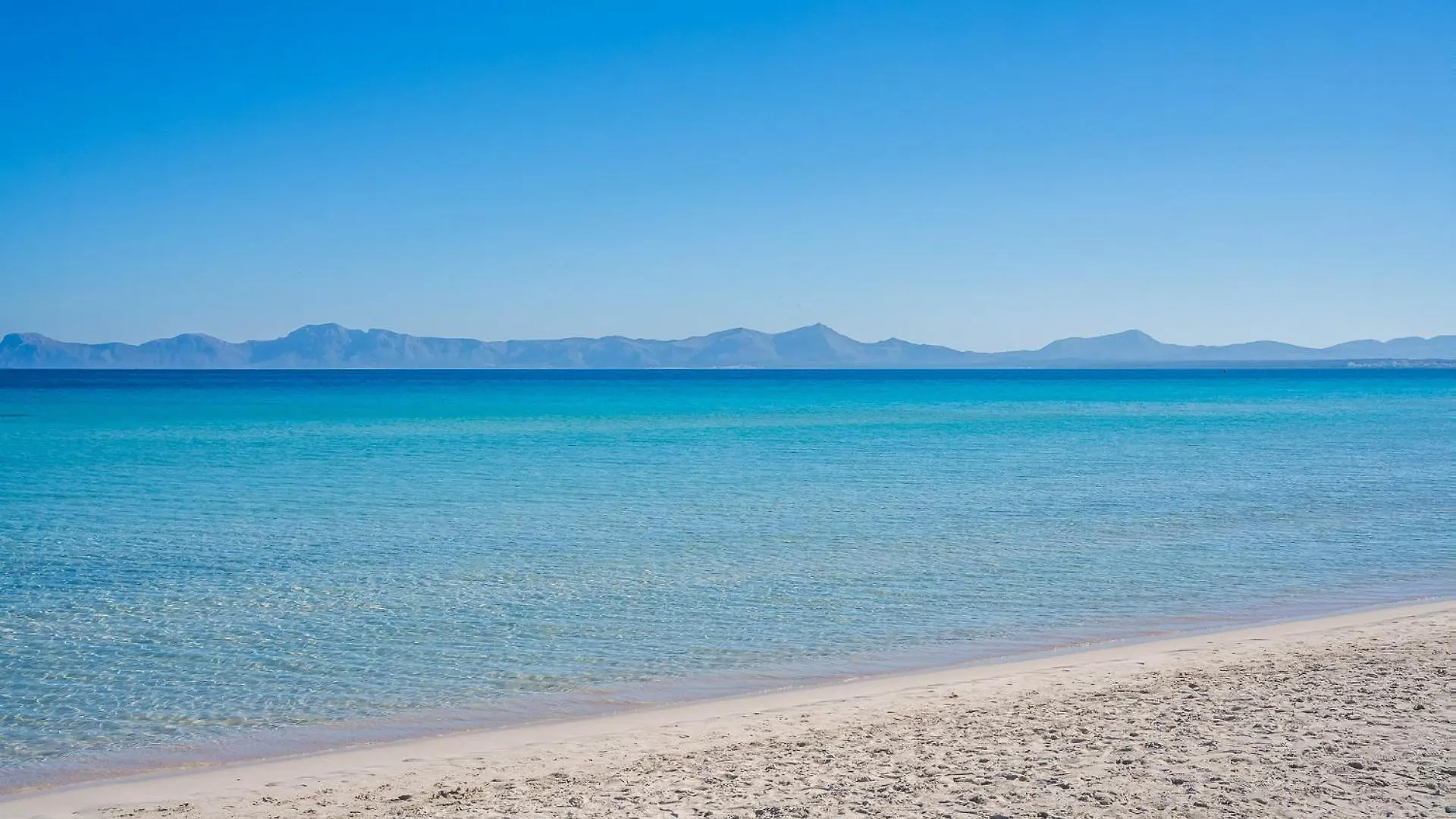 Ideal Property Mallorca - Blue Bay Alcúdia 0*,