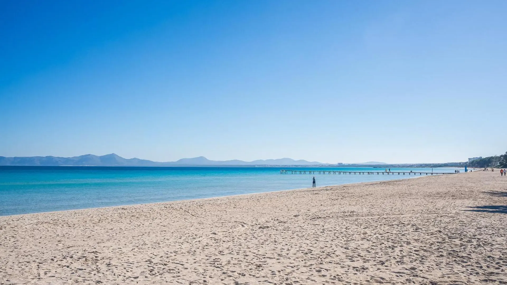 Ideal Property Mallorca - Blue Bay Alcúdia Appartement
